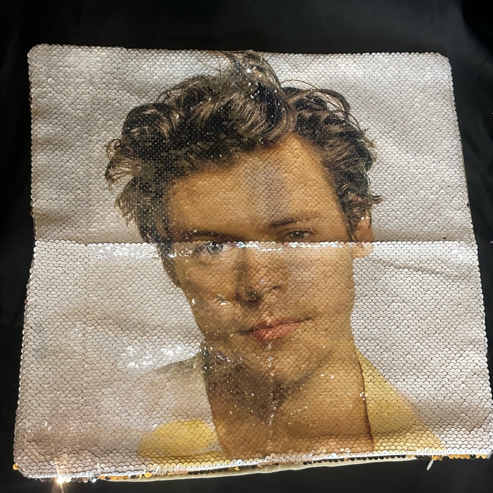 #1299โ Harry Styles Sequin Pillow Cover